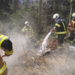 Fischaufseher bemerkt Brand in Hinterstein