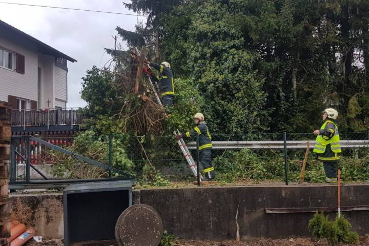 HFW Bad Ischl: Jahresrückblick der Feuerwache Reiterndorf