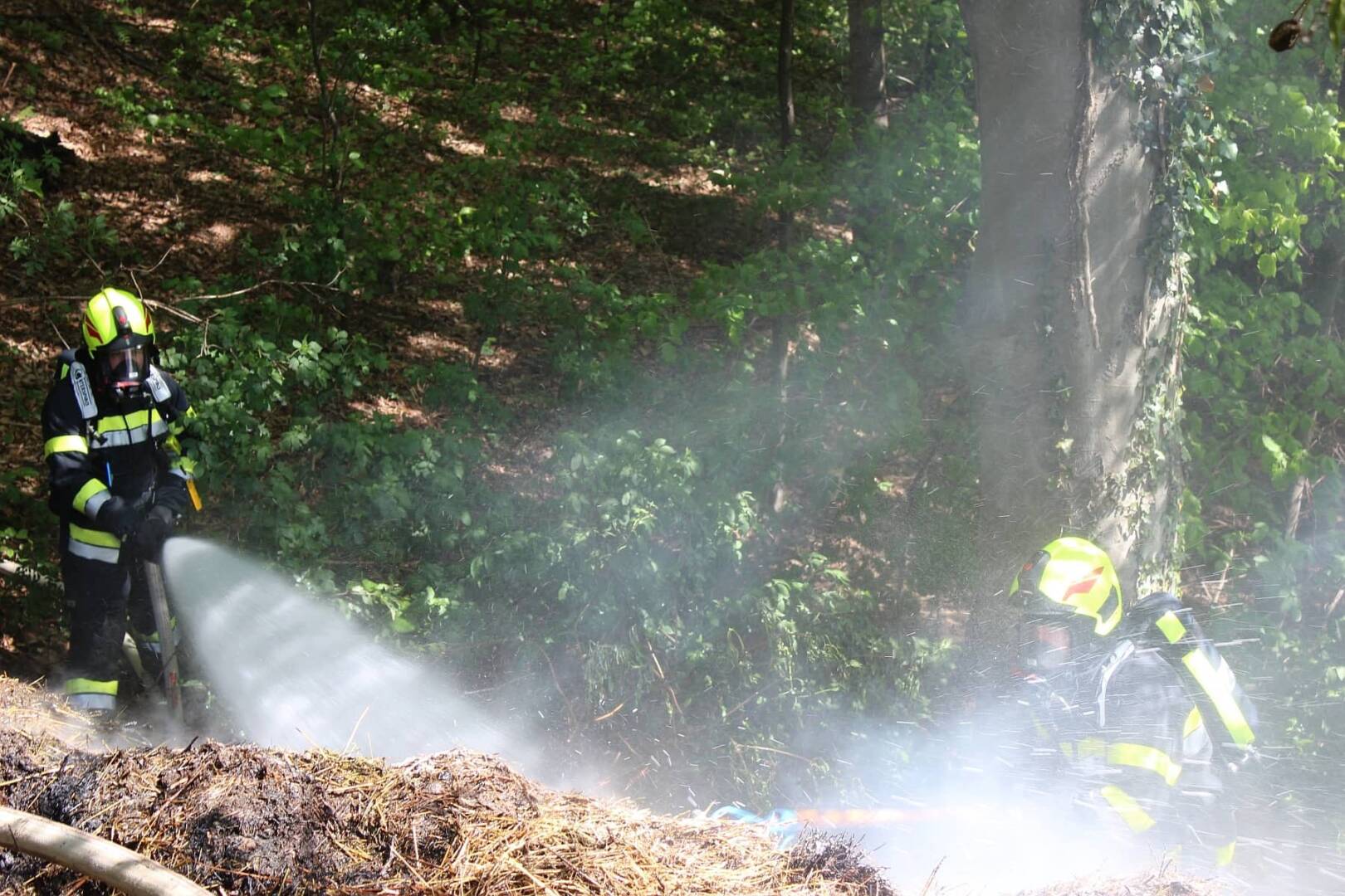 BFV Deutschlandsberg: Waldbrand in Eibiswald verhindert