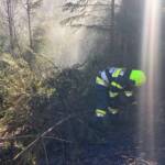 6 Feuerwehren löschten Waldbrand in Lassing