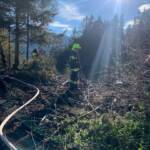 6 Feuerwehren löschten Waldbrand in Lassing