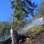 6 Feuerwehren löschten Waldbrand in Lassing