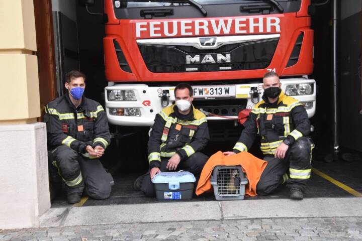 BF Wien: Rettung einer Entenfamilie