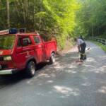 HFW Bad Ischl: Bei Wendemanöver Ölwanne aufgerissen