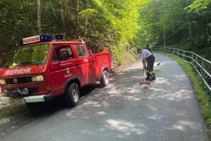 HFW Bad Ischl: Bei Wendemanöver Ölwanne aufgerissen