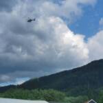 Suchaktion in der Nacht