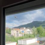 Suchaktion in der Nacht