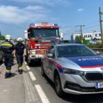 Brand eines Baumüllcontainer