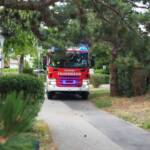 Katze sitzt in Lüftungskanal fest