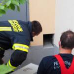 Katze sitzt in Lüftungskanal fest