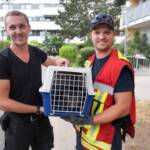 Katze sitzt in Lüftungskanal fest