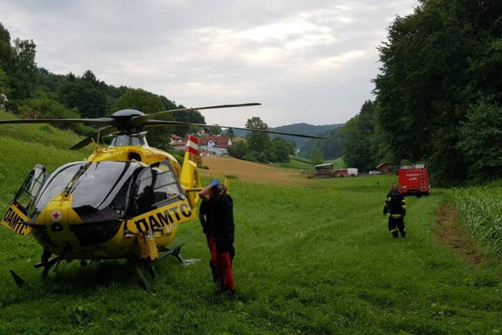 BFV Feldbach: Person unter Baum eingeklemmt