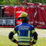 Erneut Waldbrand im Föhrenwald
