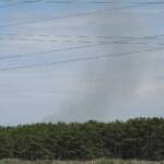 Erneut Waldbrand im Föhrenwald