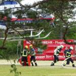 Erneut Waldbrand im Föhrenwald
