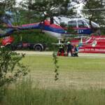 Erneut Waldbrand im Föhrenwald