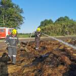 Feld- und Strohtristenbrand in Siegersdorf
