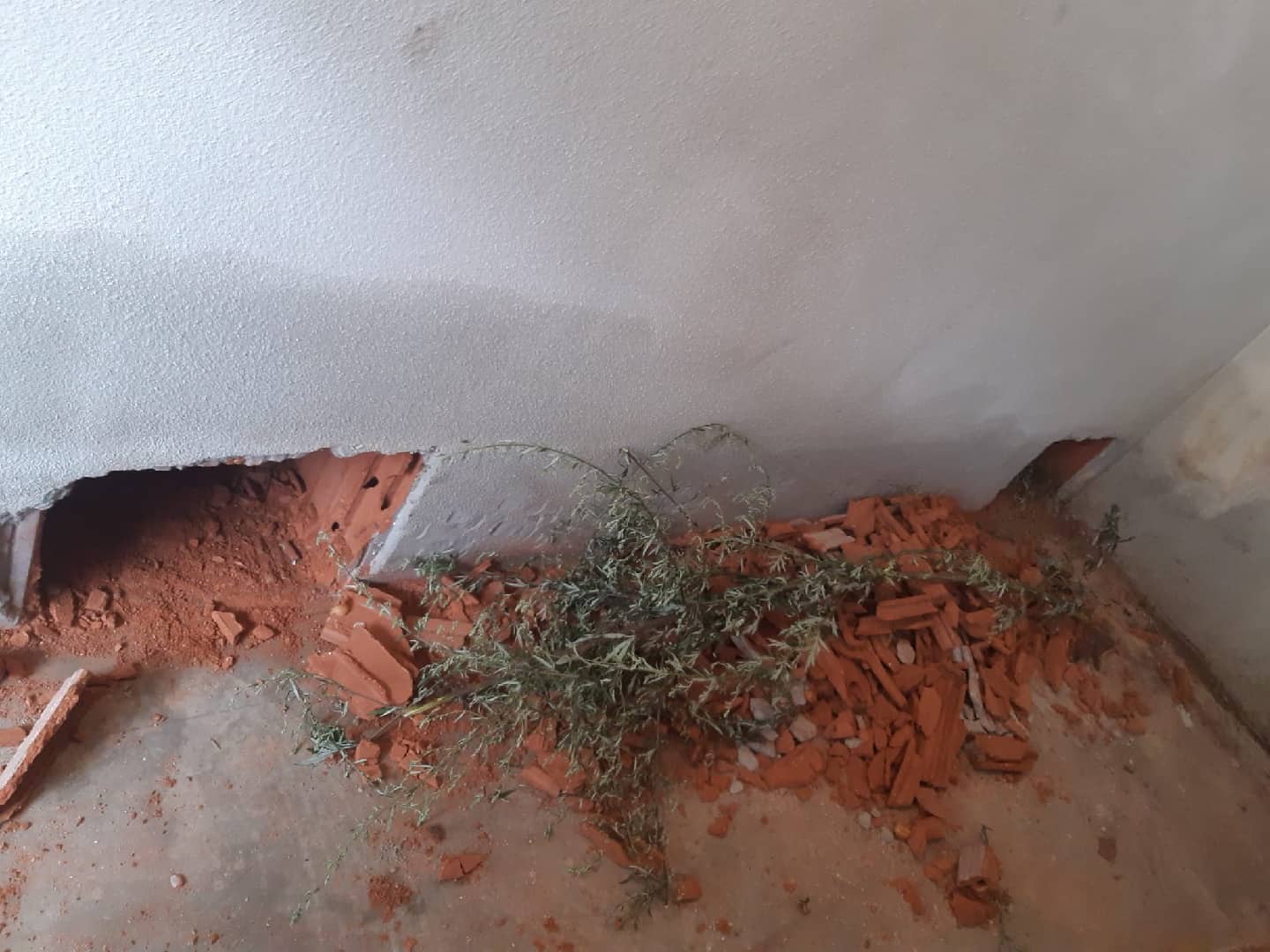 FF Leoben-Stadt: Katze von Feuerwehr gerettet