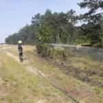 Beginnender Waldbrand Großmittel