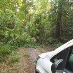 Sturmschäden nach Unwetter über Ebenfurth