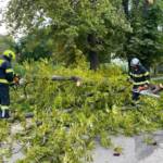 Sturmschäden nach Unwetter über Ebenfurth