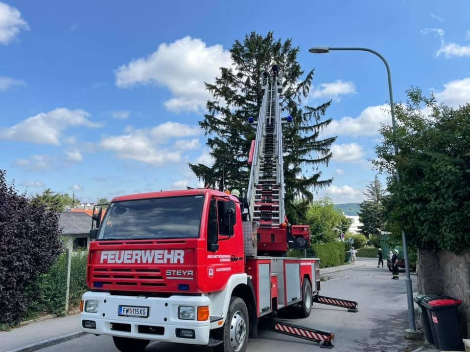 FF Klosterneuburg: Baum vom Blitz getroffen