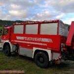 Kuh in Jauchengrube gefallen