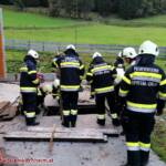 Kuh in Jauchengrube gefallen