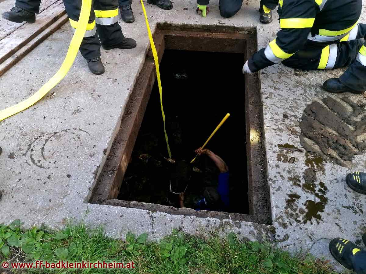 AFK Millstatt-Radenthein: Kuh in Jauchengrube gefallen