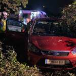 Fahrzeugbergung - PKW im Gebüsch