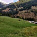 Forstunfall in Schwarzwald