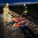 Kleinbrand neben der B19