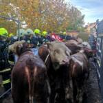 Brand eines Wirtschaftsgebäudes
