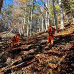 Spezialkräfte im Waldbrandeinsatz auf der Rax