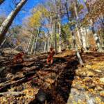 Spezialkräfte im Waldbrandeinsatz auf der Rax