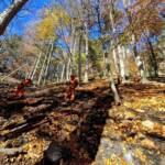 Spezialkräfte im Waldbrandeinsatz auf der Rax