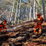 Spezialkräfte im Waldbrandeinsatz auf der Rax