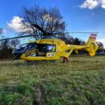 Kutschengespann landet in Lafnitz