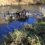 Kutschengespann landet in Lafnitz