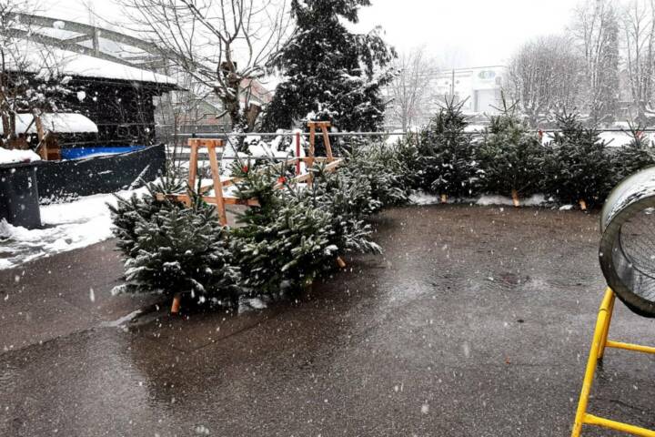 HFW Bad Ischl: Christbaumverkauf bei der Hauptfeuerwache