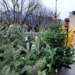 Christbaumverkauf bei der Hauptfeuerwache