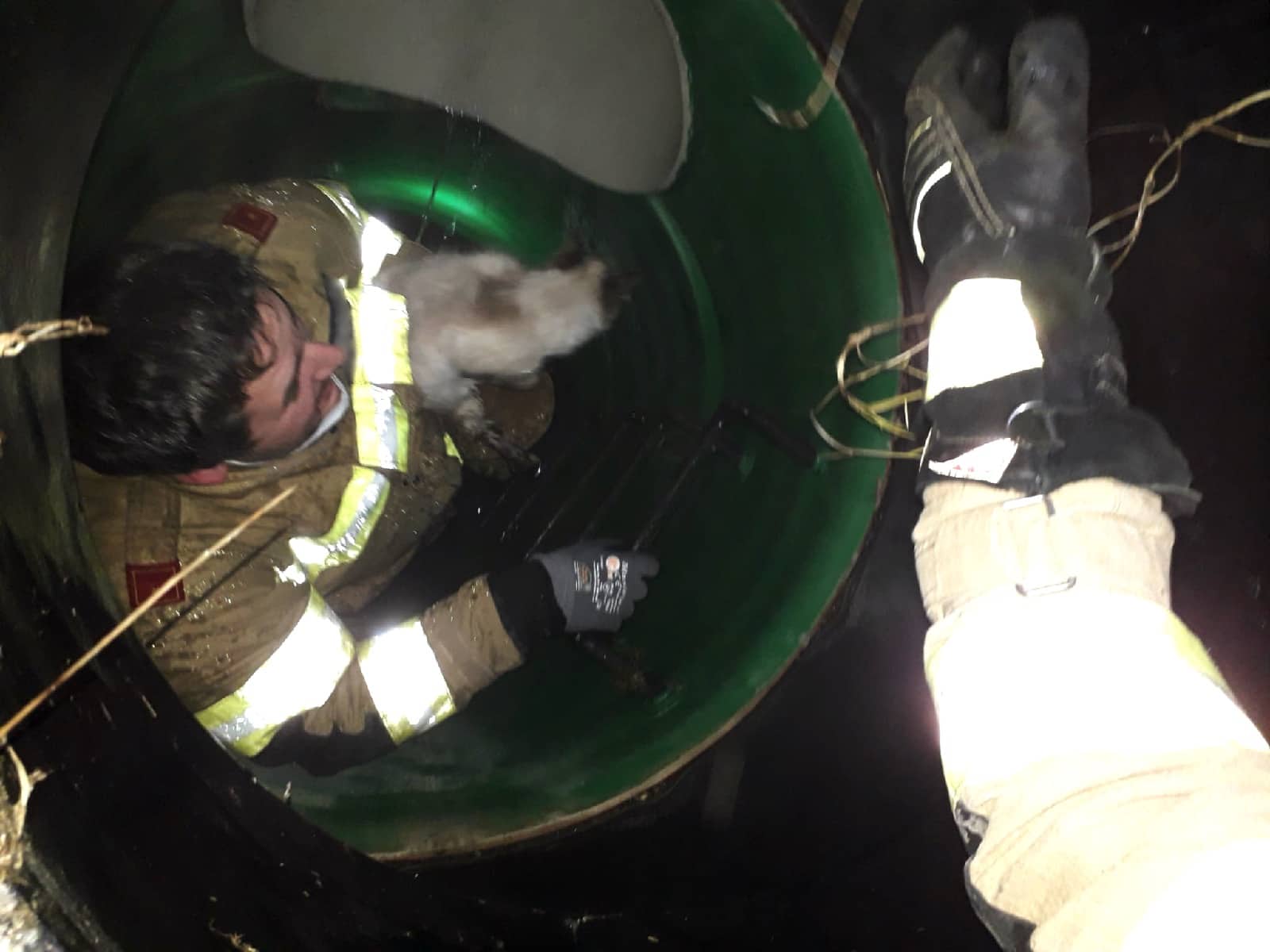 HFW Bad Ischl: FW Rettenbach rettet Katze aus Kanal