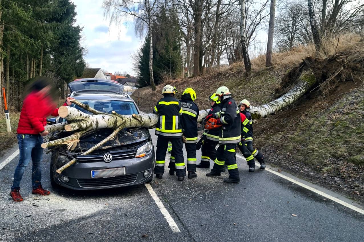 BFK Waidhofen/Thaya: Sturmeinsätze – Baum stürzt auf fahrenden PKW