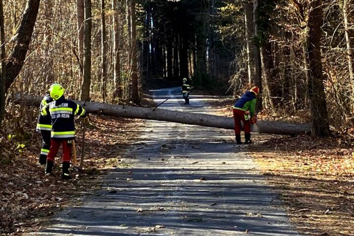 BFV Graz-Umgebung: Unwettereinsätze wegen Sturm