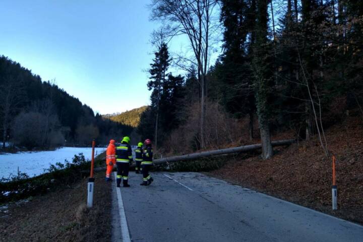 FF Krumbach: Sturmeinsatz in der Zöberau