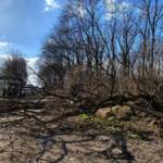 FF Ebenfurth: Sturmeinsätze in Ebenfurth