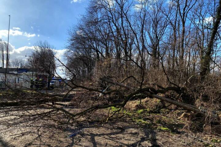 FF Ebenfurth: Sturmeinsätze in Ebenfurth
