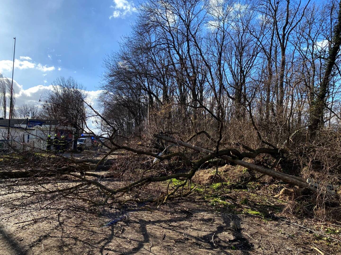 FF Ebenfurth: Sturmeinsätze in Ebenfurth