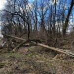 Sturmeinsätze in Ebenfurth