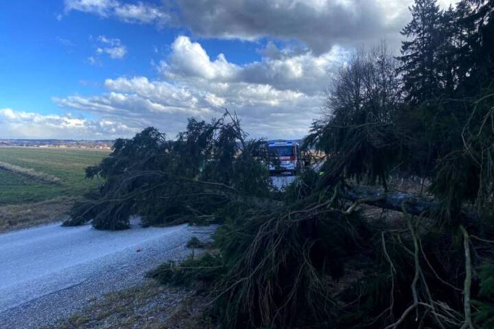 BFKDO Gmünd: Unwettereinsätze im Bezirk durch Sturmtief